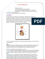 Aparato Digestivo Texto