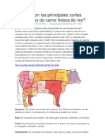 Cuáles Son Los Principales Cortes Comerciales de Carne Fresca de Res