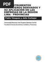 Los Instrumentos Financieros Derivados y Su Aplicación en Las Empresas de La Región Lima-Provincias