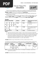 Ficha 3 Hidrocarburos