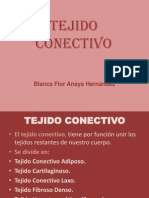 Tejido Conectivo