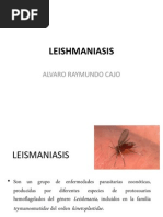 Expo Leishmaniasis