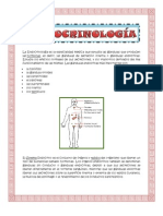 ENDOCRINOLOGIA