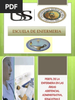 Perfil de La Enfermera Administrativa, Educativa e