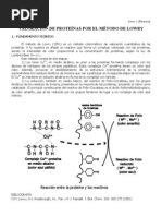 Valoracion de Proteinas - Fenoles (Lowry)