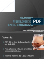 Cambios Fisiologicos en El Embarazo