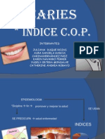 Indice Cop