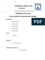 Tejido Conectivo Especializado Sangre.