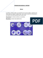 Reproduccion Asexual y Mitosis