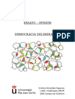 Ensayo-Opinion Democracia Deliberativa