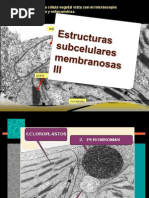 ESTRUCTURAS Subcelulares Membranosas III