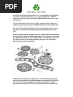 Distr 410B Eco Circle Project