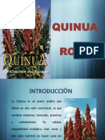 Cultivo de La Quinua Roja