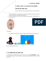 Funciones de Los Seres Vivos y El Consumo de Energía