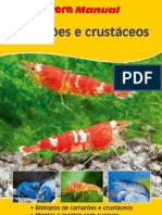 Camaroes e Crustaceos Aquario