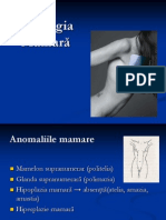 Patologia Mamară