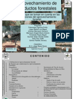 Aprovechamiento Productos Forestales