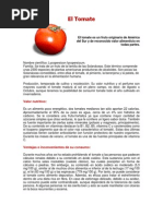 El Tomate