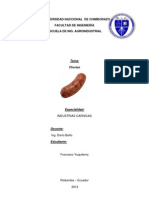 Informe de Chorizo Unach