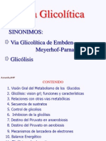 Glicolisis