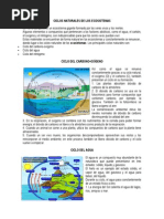 Ciclos Naturales de Los Ecosistemas