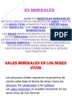 Sales Minerales