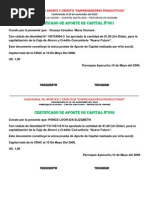 1.3.2.3. Certificado de Aportes de Capital