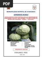 Exp. Tencino de Ayahuanco de Fruticola PDF