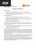 Manual para Practicas Profesionales Carreras de Informatica