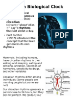 Human Biological Clock