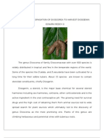 Learn The Propagation of Dioscorea To Harvest Diosgenin