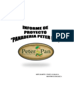 Informe de Proyecto Peter Pan