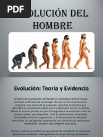 Evolucion Del Hombre