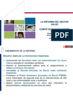 Reforma Sector Salud Comite Financiamiento - Portocarrero - MINSA PDF