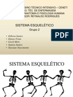 Sistema Esquelético Slide