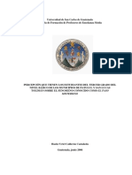 Tesis Del Paso Misterioso en Guatemala