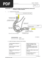 WORKSHEET 7.2 Gaseous Exchange Across The Respiratory Surfaces and Transport of Gases in Humans