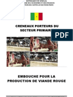 Embouche Production de Viande Rouge