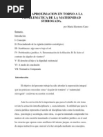 Breve Aproximacion en Torno A La Problemática de La Maternidad Subrogada