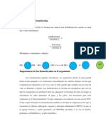 Síntesis de Las Biomoleculas