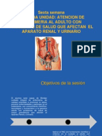 Atencion Enfermeria Problemas de Aparato Renal Urinario