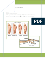 Anatomía Del Brazo