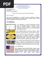 Clasificacion de Las Bacterias Segun El Manual de Bergey