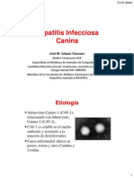 Hepatitis Infecciosa Canina