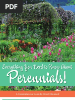 Everything You Need To Know About Perennials!