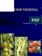 Nutricion Mineral2