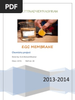 Egg Membrane Project For 12