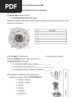 Tema 11 Los Animales in Vertebra Dos