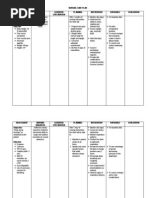 Nursing Care Plan