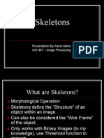 Skeletons in Images